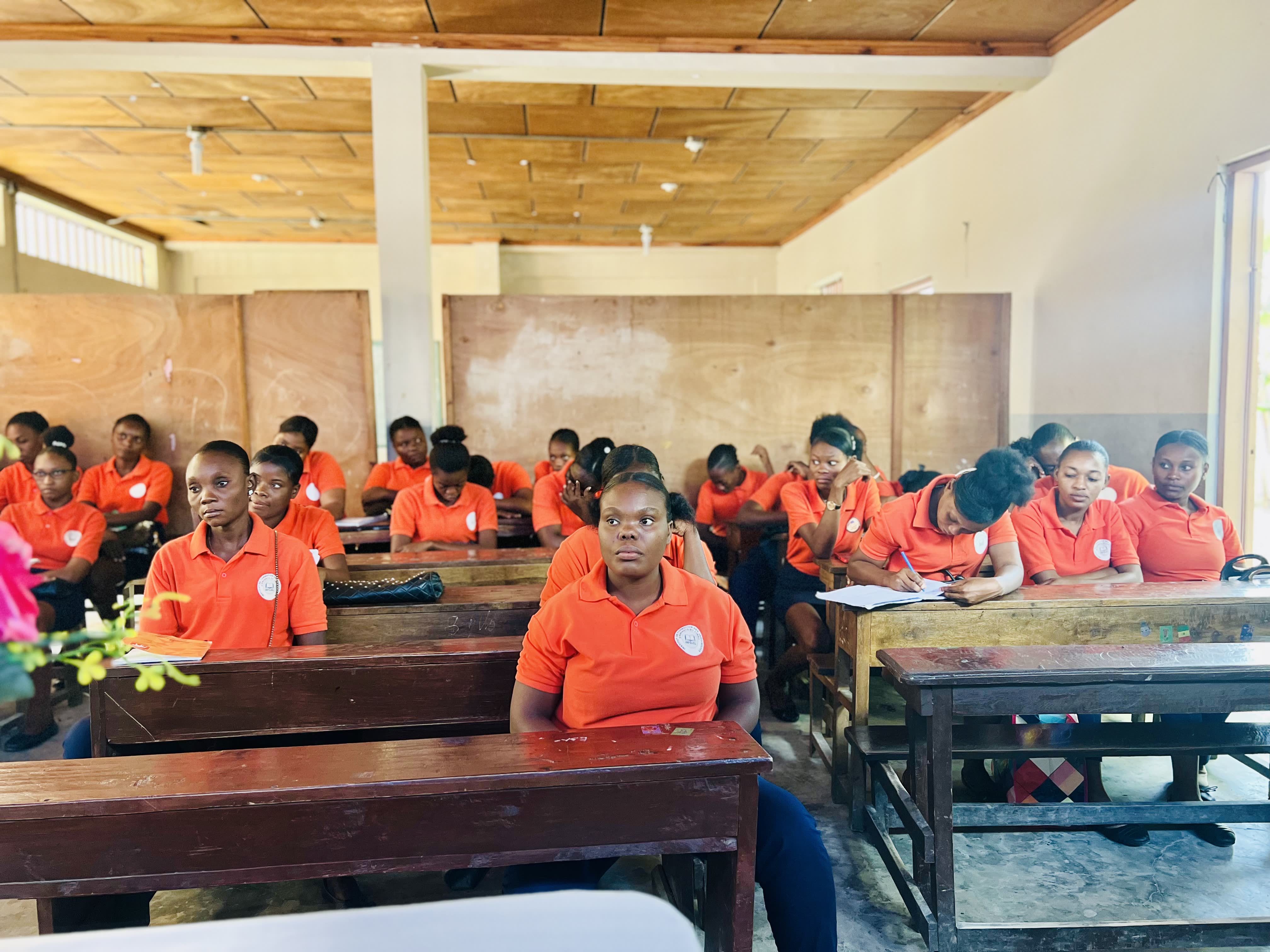 Mental health of educators: training to transform the Haitian community